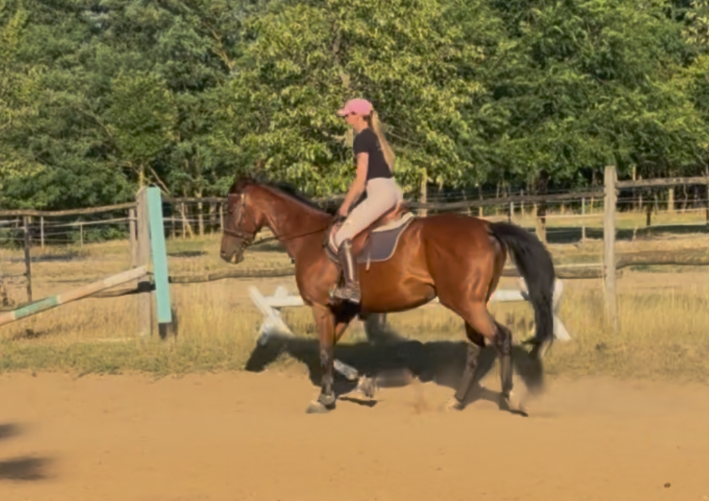 Victoria Vitae fotó 4